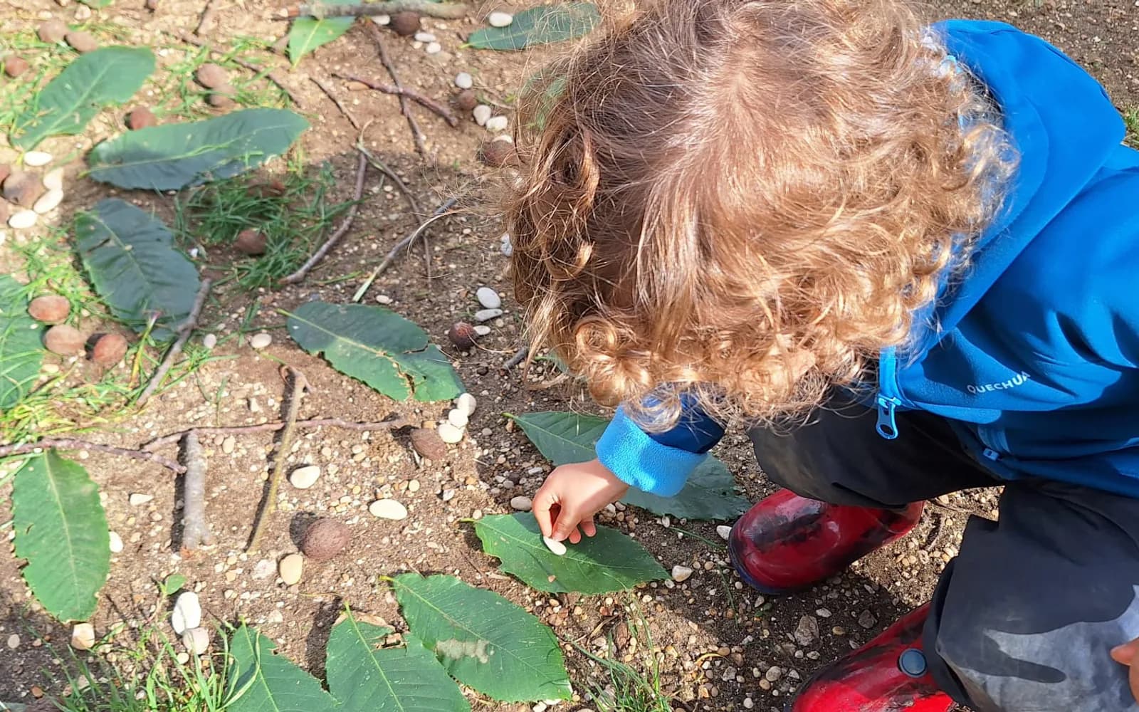 Un bambino crea una composizione con foglie, semi e rametti
